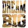 DREAM BIG