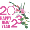 2023 happy New year