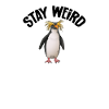 Macaroni Penguin