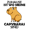 Capybara Wasserschwein