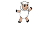 Schaf Schafe