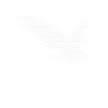 Aigle