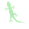 Lizard