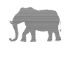 Elefant