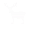 Elk