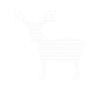 Elk