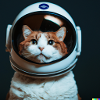Astronautenkatze