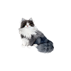 le chat sibérien