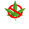 Drogen sind tödlich