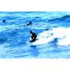 Surf Body Board T-shirt