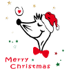 Christmas, merry christmas
