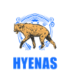 Hyena Gift Aardwolf Hyena