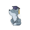 Appelez-moi Master 2023 Master
