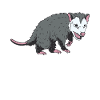 Opossum Cadeau Marsupial Opossum