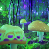 Magic psychedelic forest