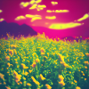 Fleurs abstraites sur fond rose