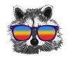 RACCOON with sunglasses retro