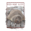 Need More Sleep Sealion