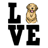 Golden Retrievers