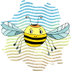 Insect