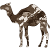 Kamel