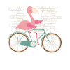 Flamingo Bike