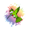 Colibri animal comique