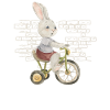 Rabbit Rabbit Bike