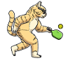 Cat plays pickleball