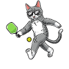 Cat plays pickleball