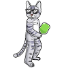 Cat plays pickleball