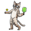 Cat plays pickleball