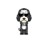 Stolzer Sheepadoodle Opa