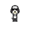 Chien Sheepadoodle