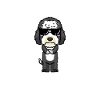 Chien Sheepadoodle