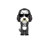 Chien Sheepadoodle