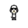 Stolze Sheepadoodle Mama