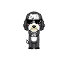 Chien Sheepadoodle