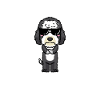 Stolze Sheepadoodle Oma
