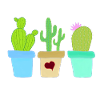 Three Cacti