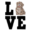 Havanese