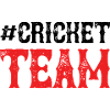 Cricket Team