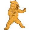Capybara Martial Arts