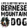 Bernese Mountain Dog