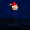 Christmas Moon