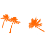 Mallorca Palmen