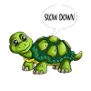 Cute turtle chills slow down