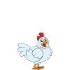My Chicken Thinks Im Cool