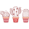 Cacti