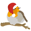 Robin with Christmas hat